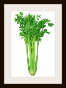 Celery
